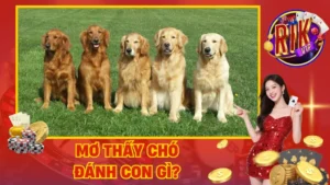 Mơ thấy chó đánh con gì