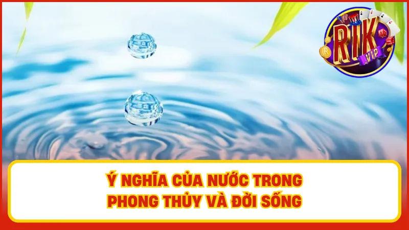 Mỗi hình ảnh nước trong mơ đều có ý nghĩa riêng và thường gắn liền với cuộc sống thực tế