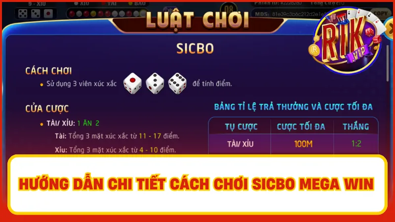 Người chơi nên tìm hiểu kỹ quy tắc khi tham gia đặt cược